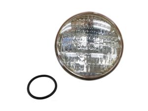 Aqua Lamp (60 Watt) Bulb